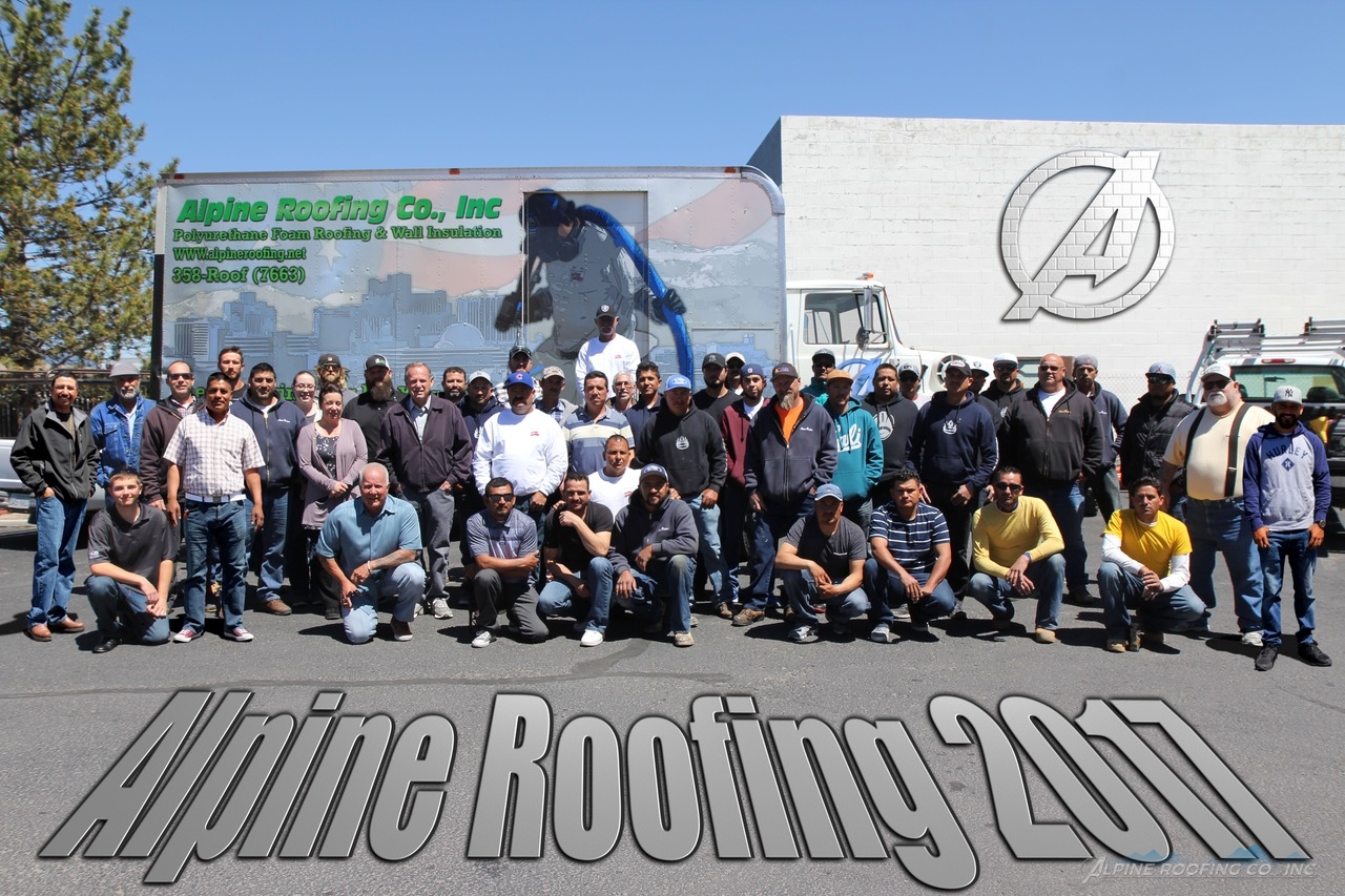alpine roofing team photo